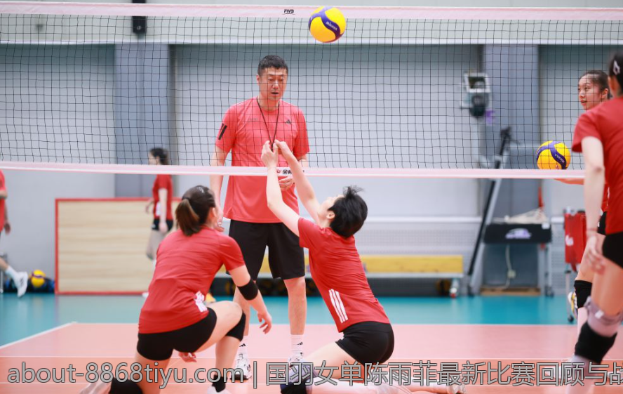 国羽女单陈雨菲最新比赛回顾与战术解析