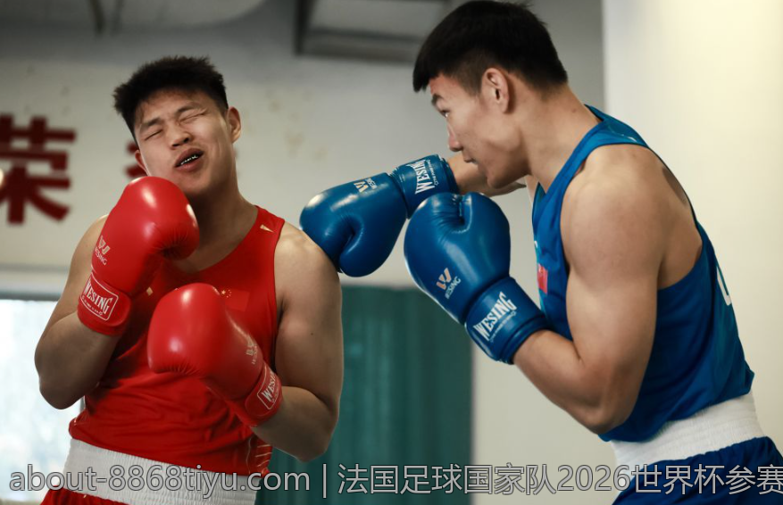 法国足球国家队2026世界杯参赛人员最新预测