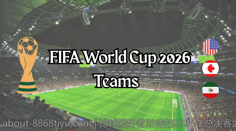 排球爱好者期待的2026年总决赛盛况