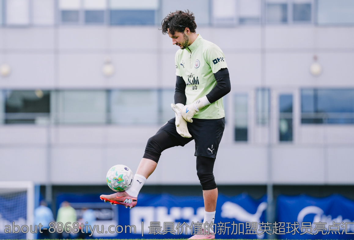 最具价值的新加盟英超球员亮点汇总